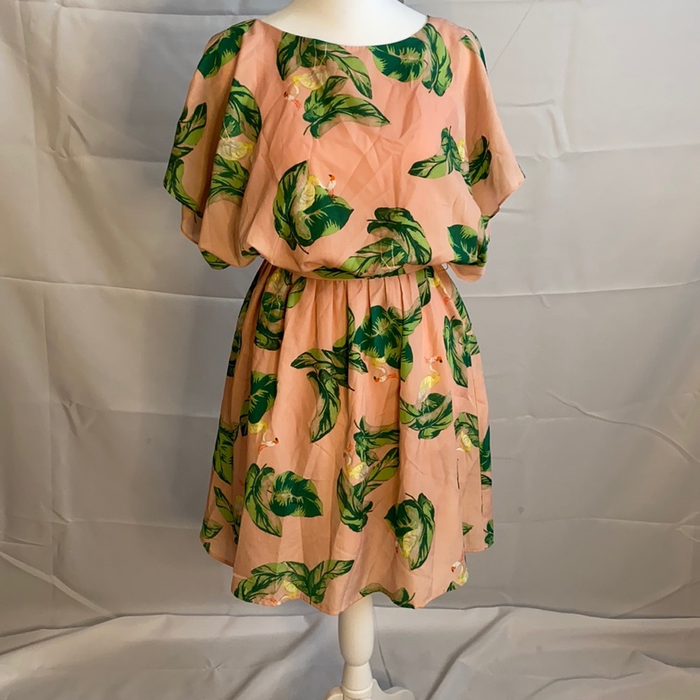The Webster Miami tropical print dress